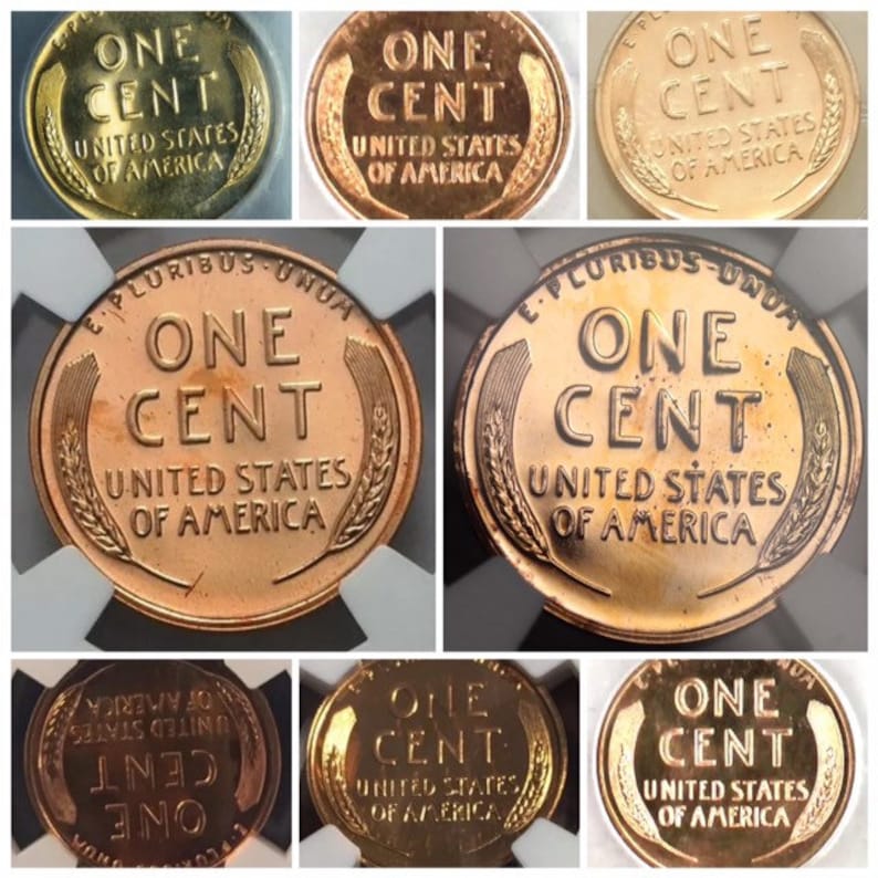 others Pennies 1 Roll Lincoln Wheat Cent Bank unsearched Wells Fargo BofA
