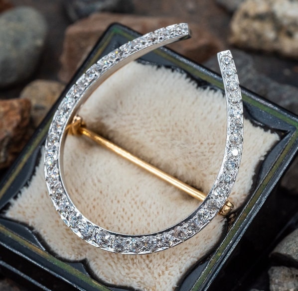 Horseshoe brooch sale