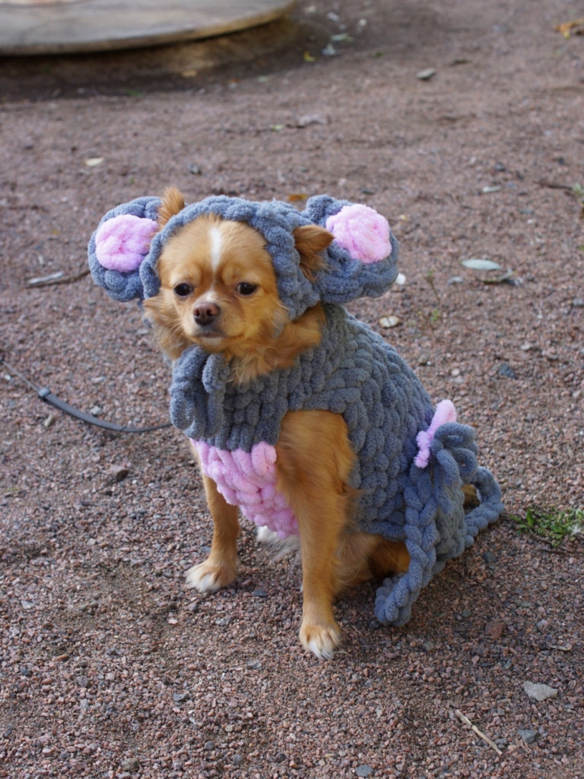 Mouse Halloween Dog Costume / Halloween Dog Sweater / Small Etsy