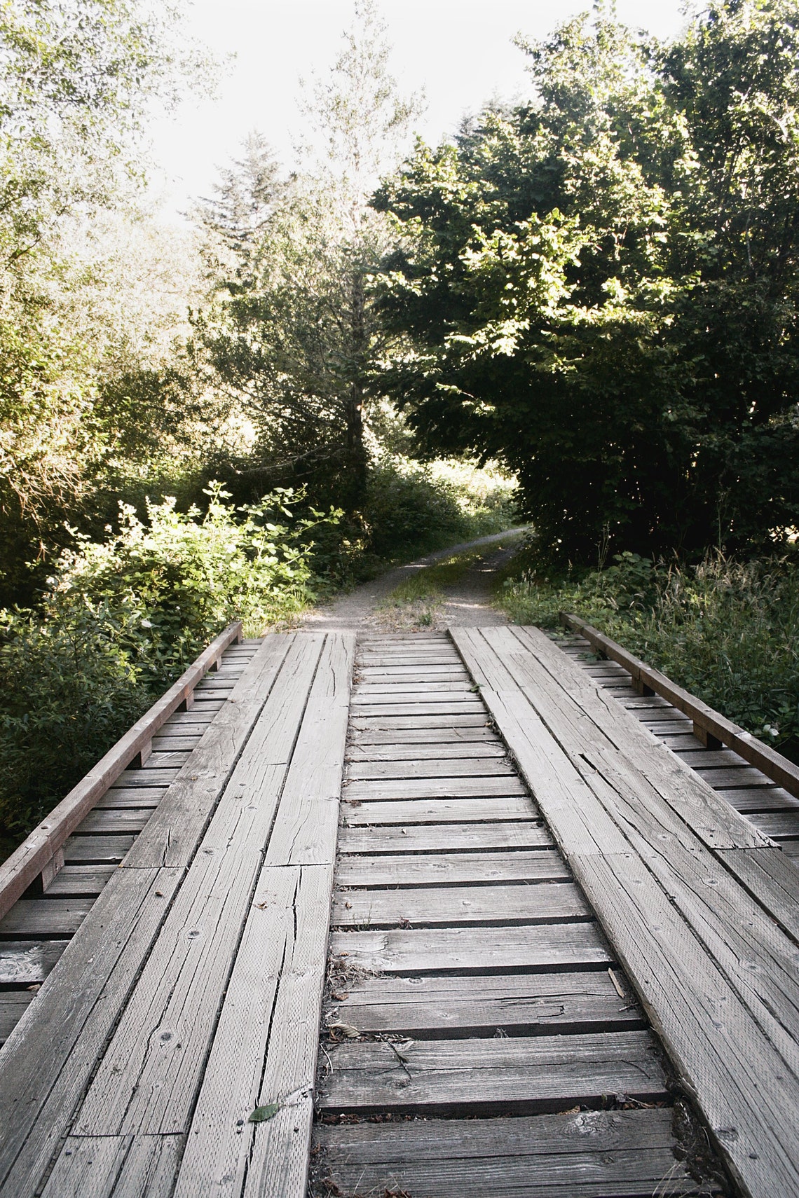 Rustic Wooden Bridge in the Woods Etsy