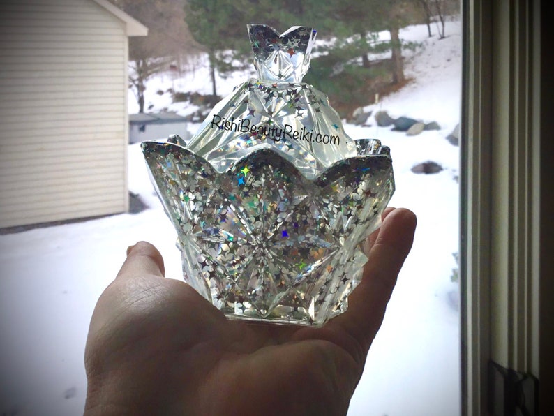 Holo Stars Lotus Bowl