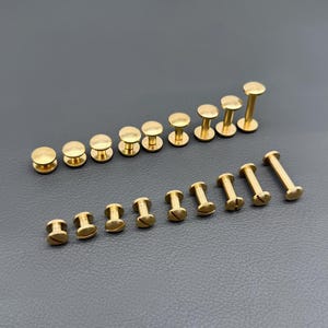 Peut inclure: Une collection de rivets et de vis en laiton disposés sur une surface grise. Les rivets ont une tête plate et circulaire et une tige. Les vis ont une tête fendue et un corps fileté. La quincaillerie est de différentes tailles.