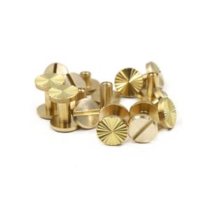 Op de afbeelding: Een verzameling messing schroefpalen en Chicago-schroeven, tegen een witte achtergrond. De schroefpalen hebben een platte kop met een stervormig patroon. De Chicago-schroeven hebben een sleufkop.