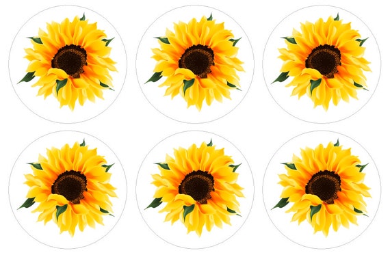 Edible sunflowers online