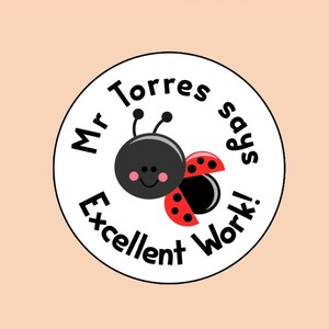 Könnte beinhalten: Weißer runder Aufkleber mit schwarzem Text, der "Mr. Torres says Excellent Work!" lautet, und einer Cartoon-Marienkäfer mit roten Flügeln und schwarzen Punkten.