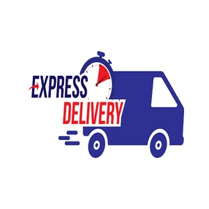 Puede incluir: Un cami&oacute;n de reparto azul con un cron&oacute;metro rojo y blanco en la parte superior. El texto "EXPRESS DELIVERY" est&aacute; en letras rojas y azules.