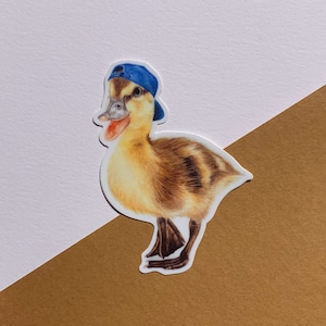 Duckling in baseball cap Sticker, Animals in Hats, Vinyl Sticker,