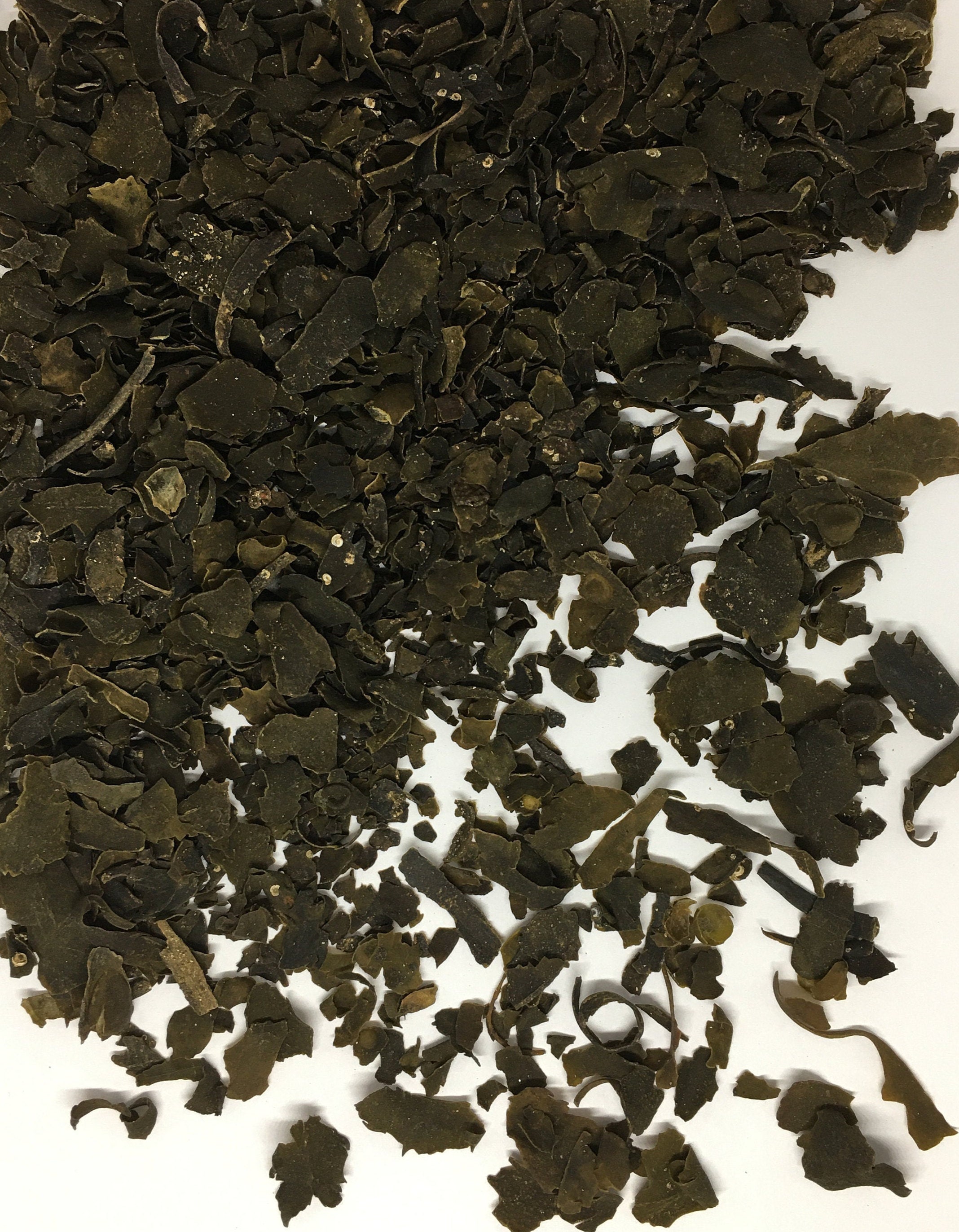 Bladderwrack Herb Cut, Fucus vesiculosus, Alkaline Herb, Wildcrafted
