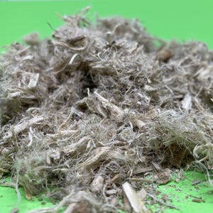 Marshmallow Root, Althaea officinalis, Organic