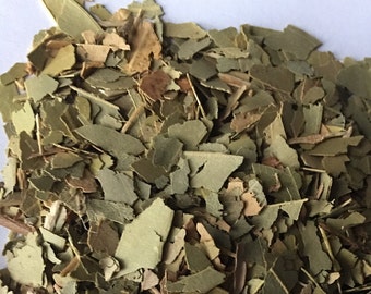 Eucalyptus Leaf Cut, Fragrant for Steam Inhalation and Shower