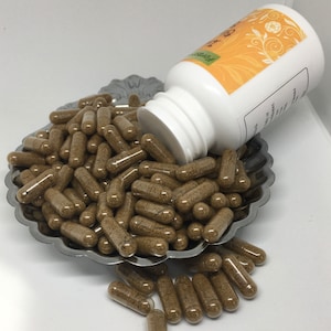 Bladderwrack Powder Vegan Capsule, 100% Pure Organic Ingredients, Wholesale and Retail Available