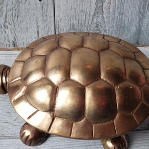 May include: A polished brass turtle figurine featuring a smooth, rounded shell with a segmented, hexagonal pattern. The turtle has a small head with visible eye details and four short, sturdy legs extending from beneath the shell, showcasing a metallic gold-toned finish throughout the entire surface.