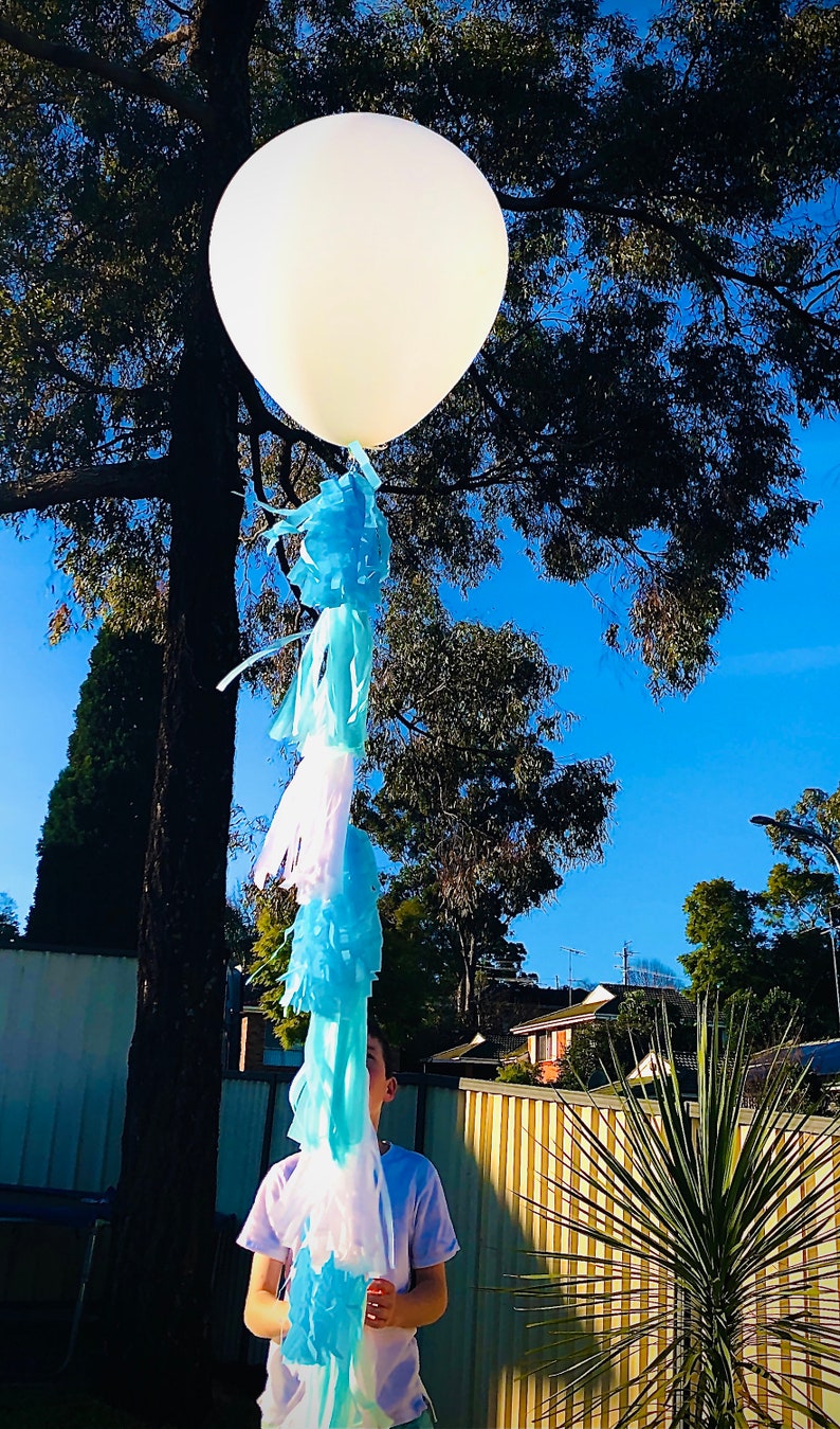 Jumbo Balloon Tassel Tail Fringe DIY Tassel Garland Etsy Australia