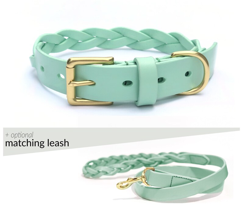 mint green dog collar