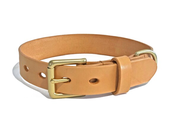leather and brass dog collars