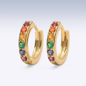 Pu&ograve; includere: Un paio di orecchini a cerchio dorati con una fila di piccole pietre preziose rotonde e multicolori nei toni del rosso, arancione, giallo, verde, blu e viola. La parola CITIMI &egrave; stampata in nero nell'angolo in basso a destra.