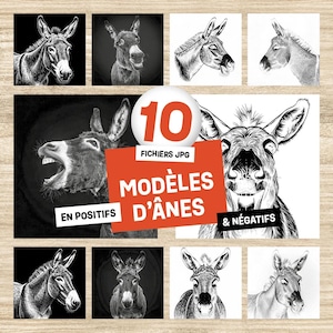 Fichiers de gravure laser - Modèles ânes