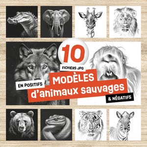 Fichiers de gravure laser - Modèles ANIMAUX SAUVAGES