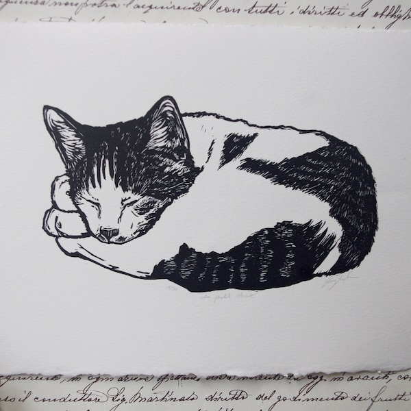 Le petit chat. Linogravure gravée et imprimée à la main. Linocut hand printed. Cat. Kitten.