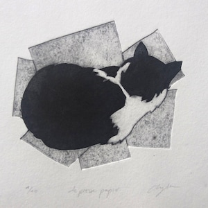 Peut inclure: Illustration d'un chat noir et blanc, allongé sur des formes géométriques grises. L'œuvre est sur fond blanc. Le texte "Le presse papier" est visible.