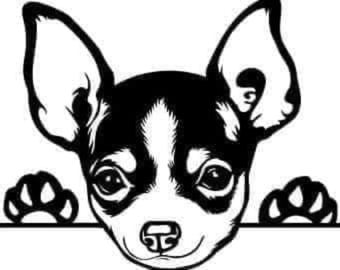 Chihuahua Drawing Etsy Chihuahua Drawing Etsy