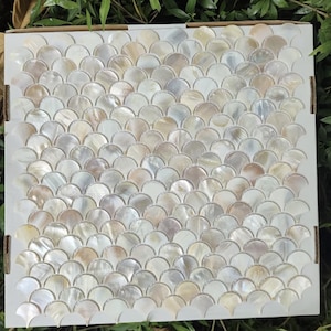 Puede incluir: Un cuadrado de baldosas de mosaico iridiscentes en forma de abanico. Las baldosas son una mezcla de blanco, crema y melocotón pálido, creando un efecto nacarado. Las baldosas están dispuestas en un patrón repetitivo y están colocadas sobre un respaldo blanco.