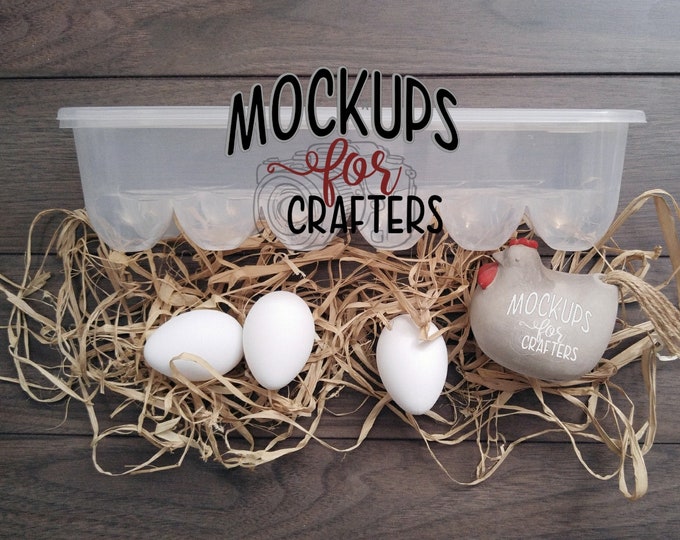 MOCKUP Round Tray Dollarama Cricut Silhouette Vinyl Etsy Ireland