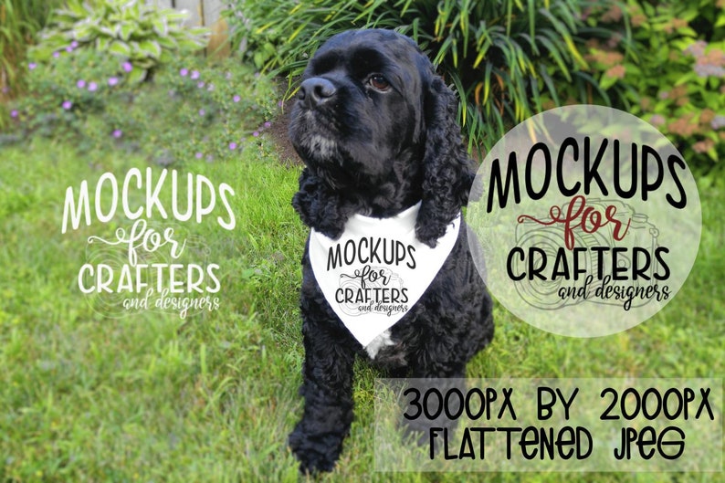 Download PET BANDANA MOCKUP pañuelo blanco pañuelo para perros | Etsy
