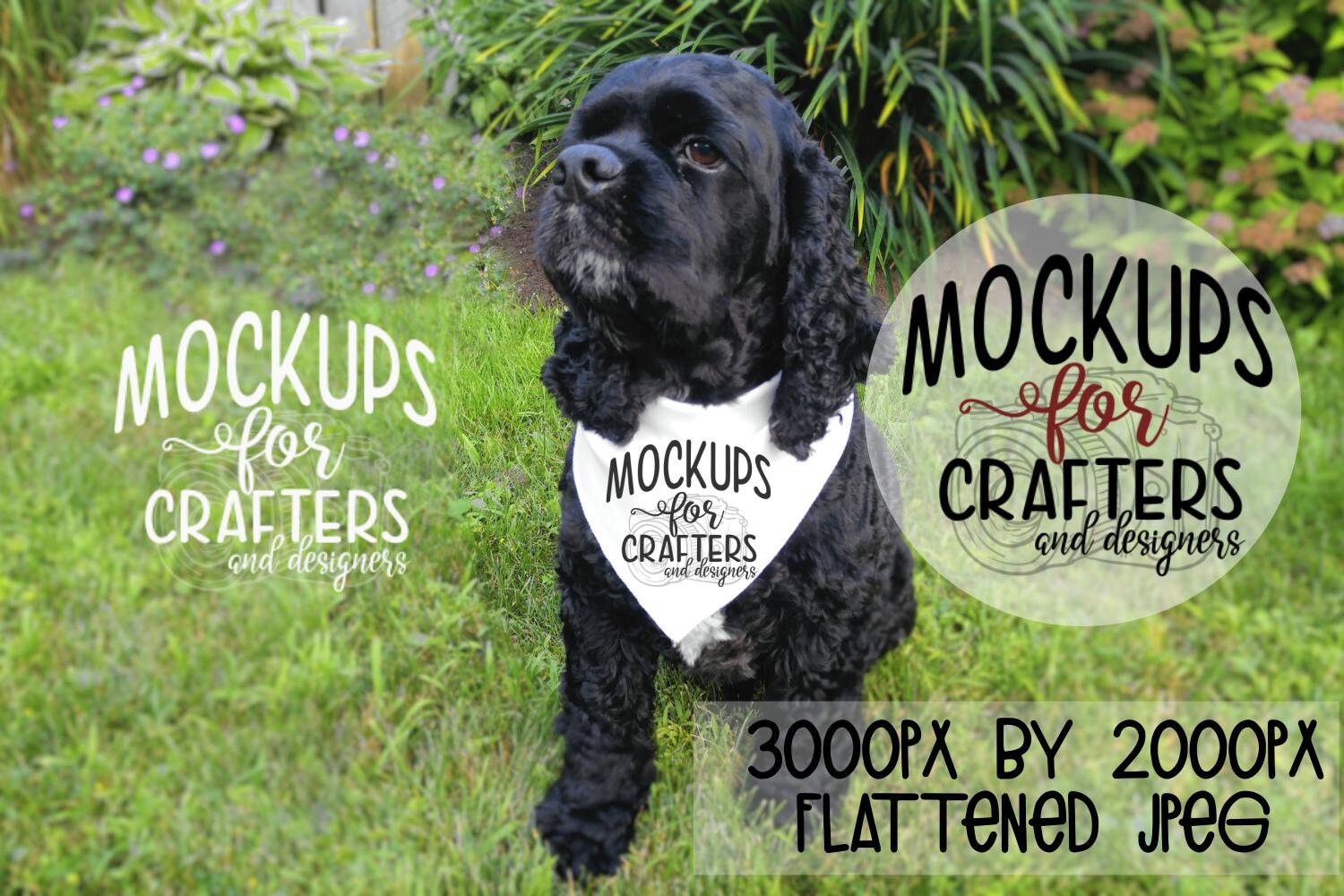 Download Pet Bandana Mockup White Bandana Dog Bandana Etsy
