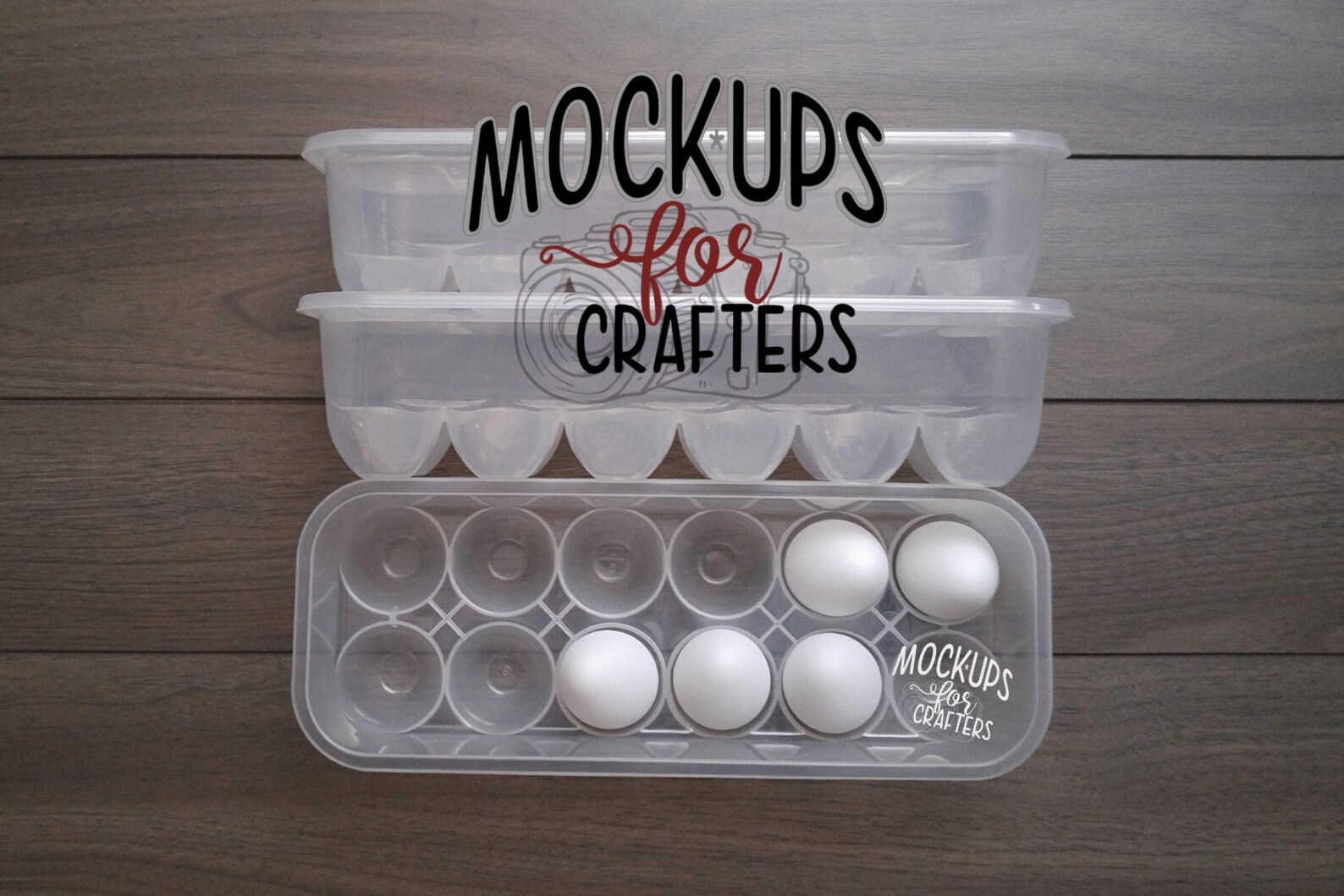 Dollar Tree Egg Holders / Egg Cartons MOCKUP Etsy