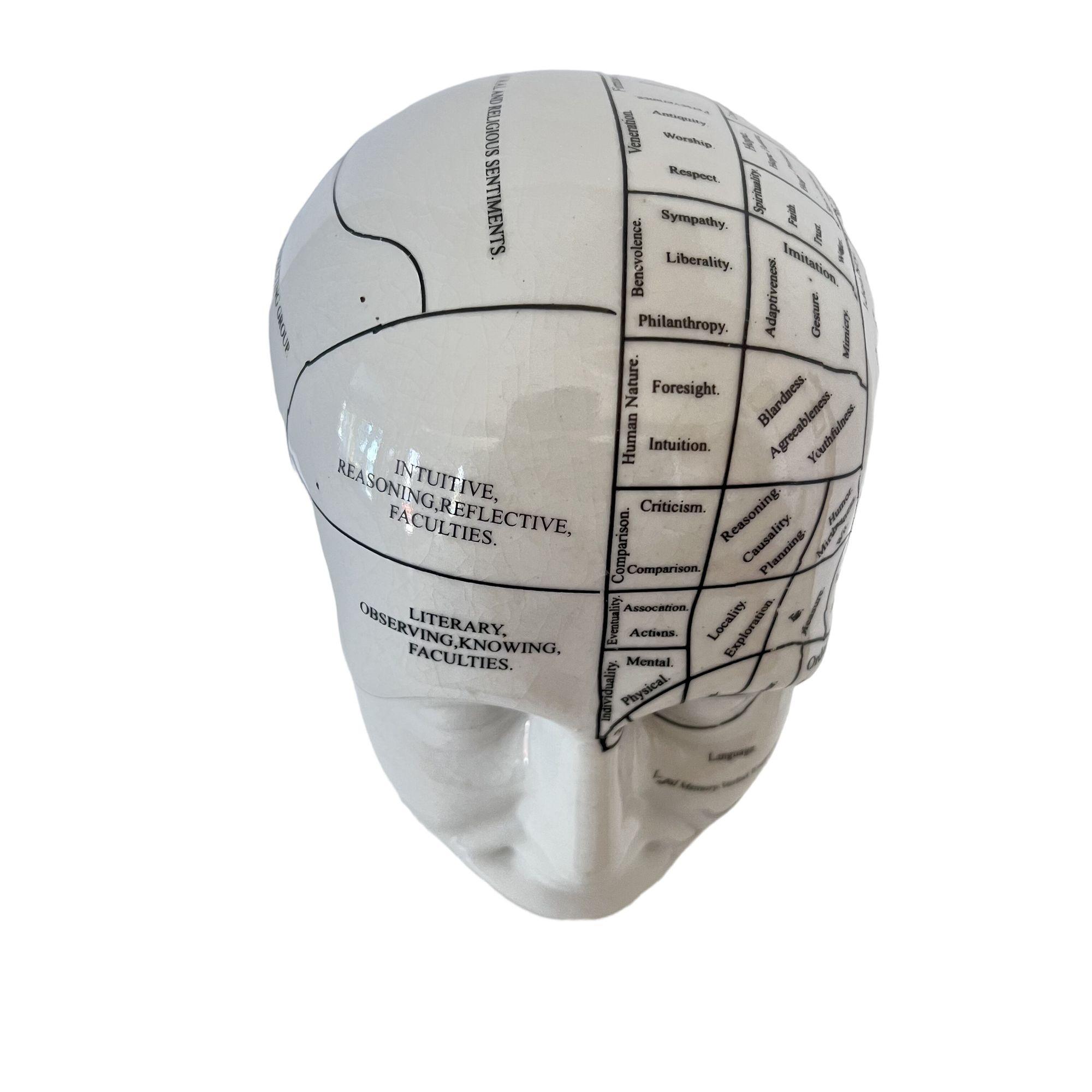 THE PHRENOLOGY オブジェ サイズ L Vintage Phrenology Coin BANK Head Bust by L.N. Fowler