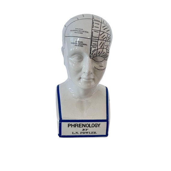 陶器製胸像 L.N FOWLER Fowler Phrenology Head (Ceramic Reproduction) | Barrow Bookstore