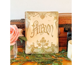 Antique Victorian Edwardian Celluloid Floral Photo Album / Early 1900's
