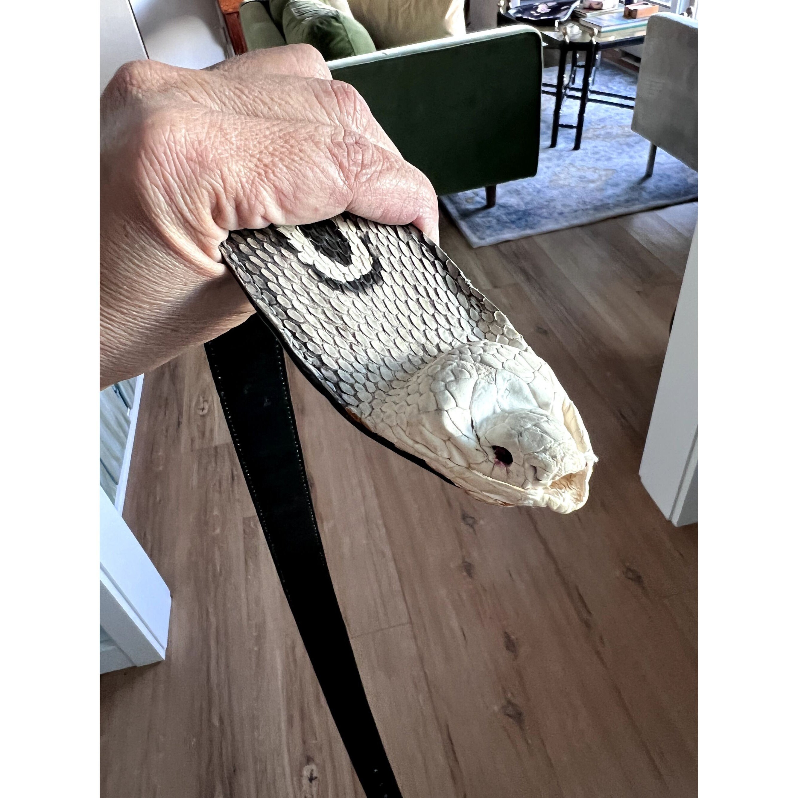 Vintage White Black Cobra Belt - Real Cobra? / Eclectic Cos  display picture 1