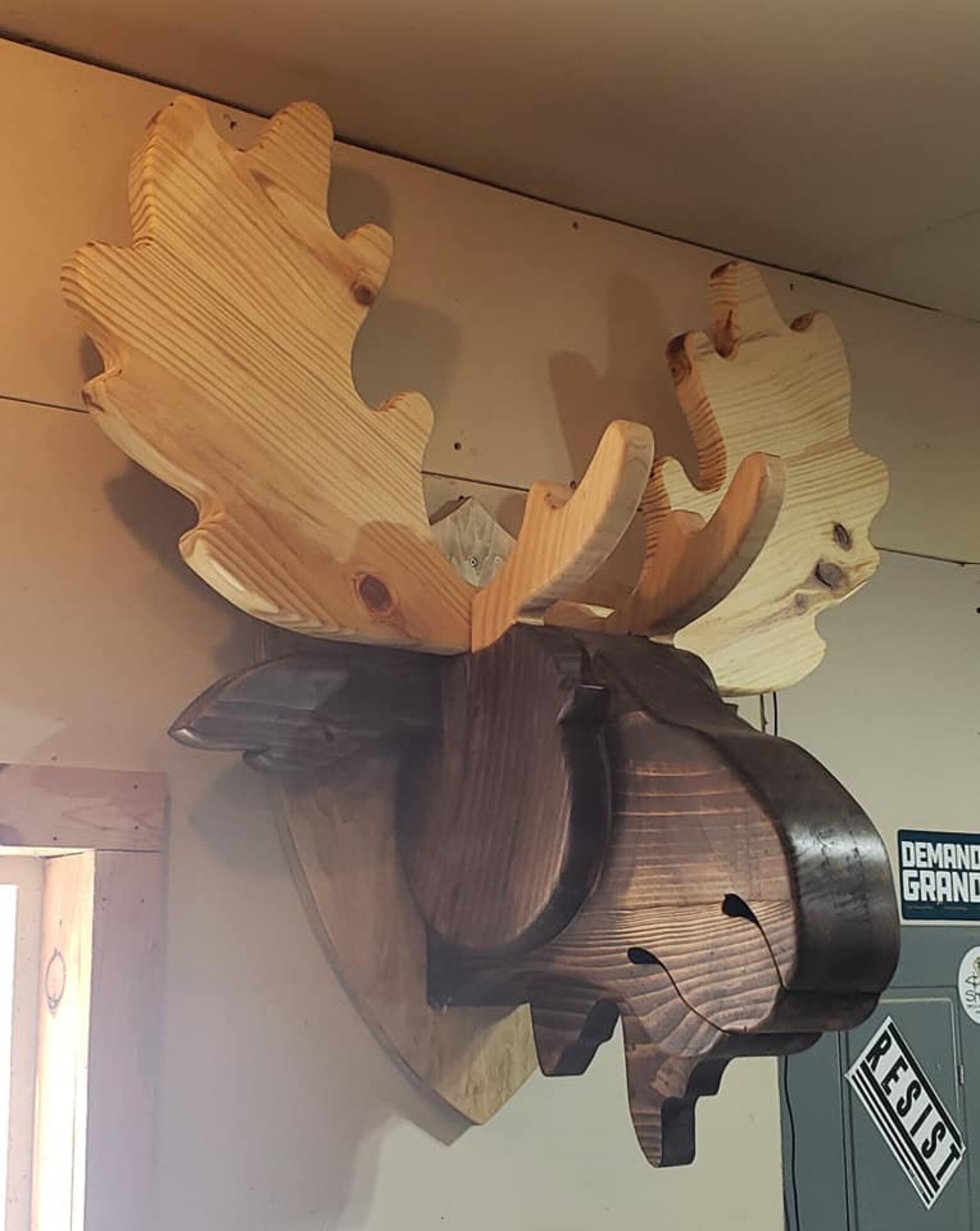 Giant Wood Mounted Moose Head Etsy