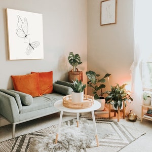 May include: A living room with a gray couch, two orange pillows, a white coffee table, and a framed print of two butterflies on the wall. There are plants in pots on the floor and a bookshelf with books on it.