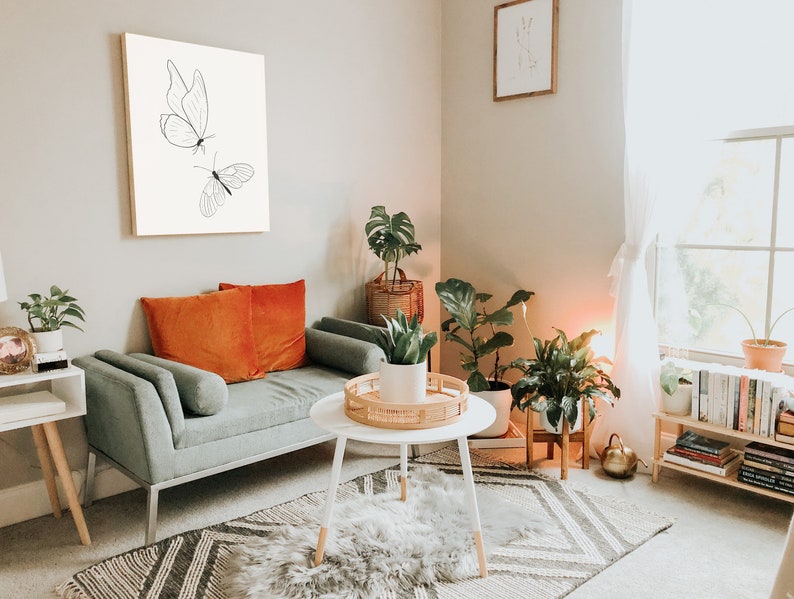 May include: A living room with a gray couch, two orange pillows, a white coffee table, and a framed print of two butterflies on the wall. There are plants in pots on the floor and a bookshelf with books on it.