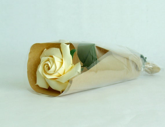 TISSUE PAPER FLOWERS - Sincerely Saturday