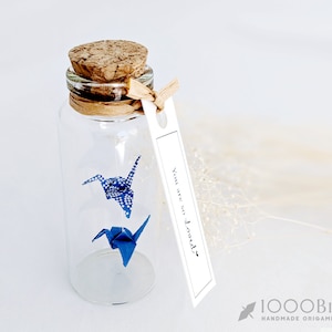 Two Tone Origami Paper Cranes in Mini Bottle with Personalized Tag, Personalized Gift, Best Friend Gift, Lucky Charms, Greeting Card