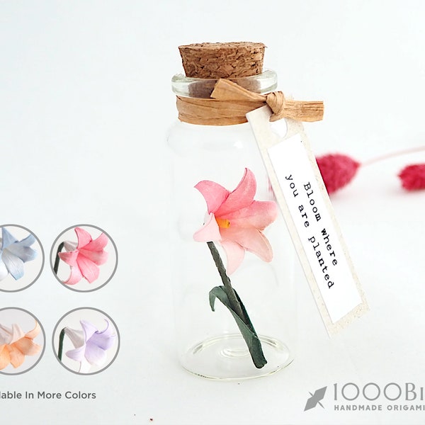 Nénuphar japonais rose en papier origami Washi dans une mini bouteille avec étiquette personnalisée pour cadeau de remise des diplômes, cadeaux du souvenir