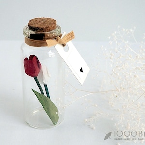Handgemachte Origami Tulpe in der Glasflasche: Japanisches Papierblumengeschenk