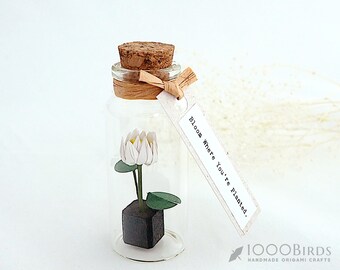 Origami Lotus Flower in Bottle: Personalized Paper Lotus Gift