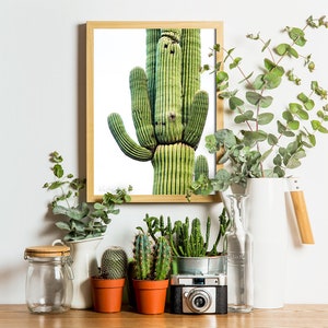 Saguaro