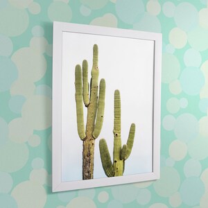 Saguaro Couple