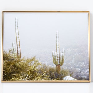 Saguaros nevados