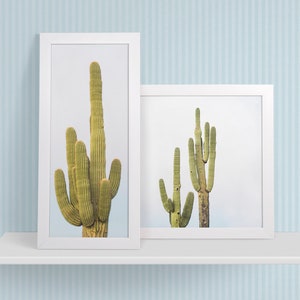 Saguaro Collage Package