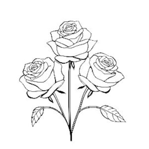 Puede incluir: Dibujo de línea de tres rosas con tallos y hojas.
