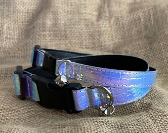 iridescent dog collar