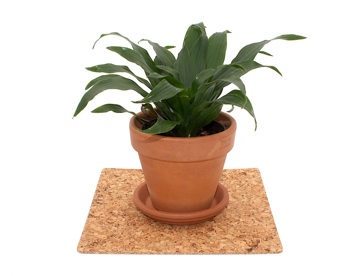 10 Inch Square Cork Potted Plant Coaster Flower Pot Mat Home Etsy