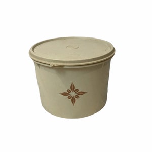 Tupperware Container/lid 228-25 and 265-10